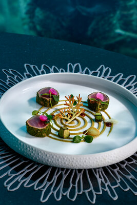 569916-Nikkei Style Tuna Tataki_First Course-58d2da-original-1736321283