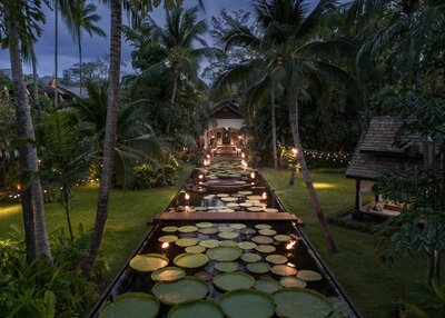 569627-Anantara Bophut Koh Samui Resort_Lily Ponds Dusk-b7c5eb-original-1736159205