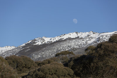 597378-Oaks Lake Crackenback Resort 5-bc836a-original-1750043747