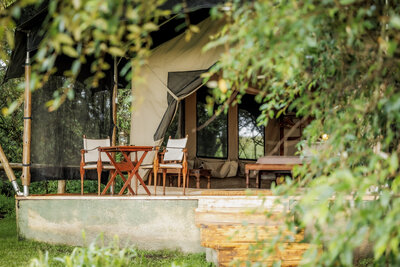 600998-Elephant Pepper Camp-77cc97-original-1752234571