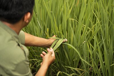Anantara Ubud Bali Resort Lifestyle Recreation 5 E0757a