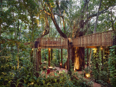 Niyama Private Islands Maldives Restaurant Nest With Waiter   Co