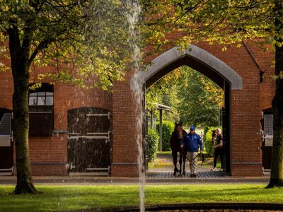 Kildangan Stud Autumn