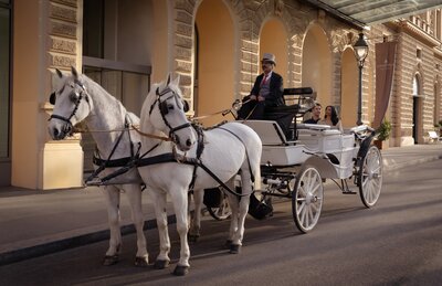 Anantara Palais Hansen Vienna Hotel_Lifestyle Fiaker Hotel Entrance.jpg