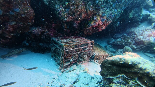 Cage of Planteray Rum Submerged at NH Collection Maldives Reethi Resort for Year-Long Underwater Ageing.jpeg