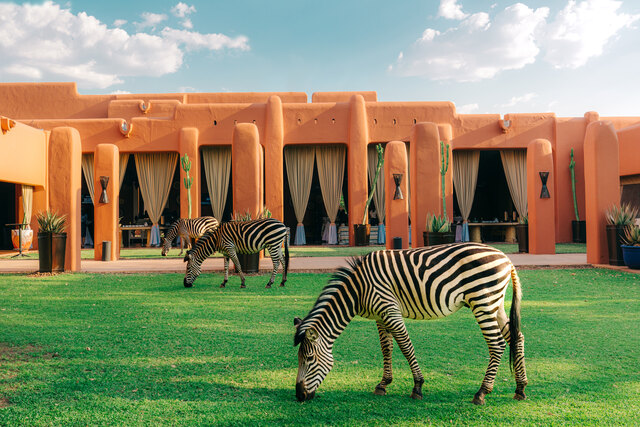 Avani Victoria Falls Resort_Exterior_Wildlife_Credit_Mr. Kang Hwasong.jpg