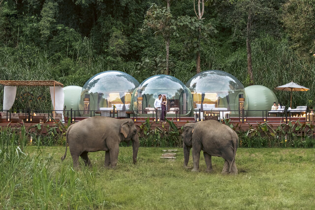 Anantara Golden Triangle Elephant Camp & Resort.jpg