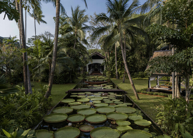 Anantara_Bophut_Koh_Samui_Resort_Lily_Ponds_Drone_5.jpg