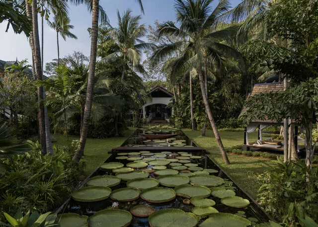 Anantara_Bophut_Koh_Samui_Resort_Lily_Ponds_Drone_5