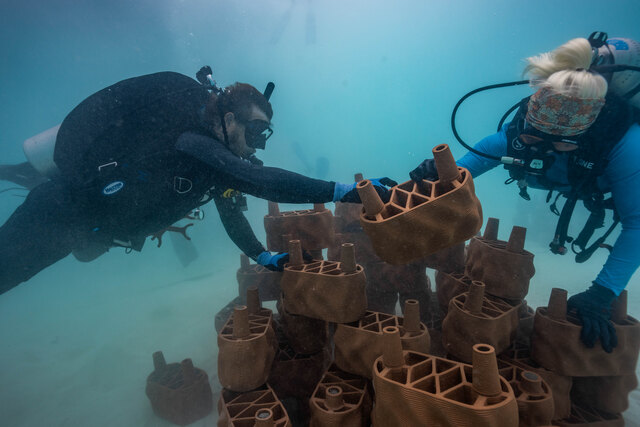 One clay brick at a time, marine conservation takes shape beneath the surface as divers carefully assemble the artificial reef.jpg