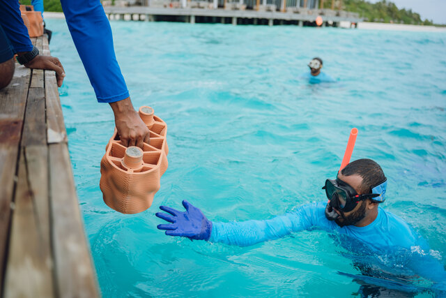 Clay reef modules were carefully deployed to the lagoon, laying the foundation for a thriving artificial reef.jpg