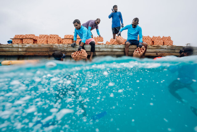Hundreds of clay reef modules were carefully deployed to the lagoon, laying the foundation for a thriving artificial reef.jpg
