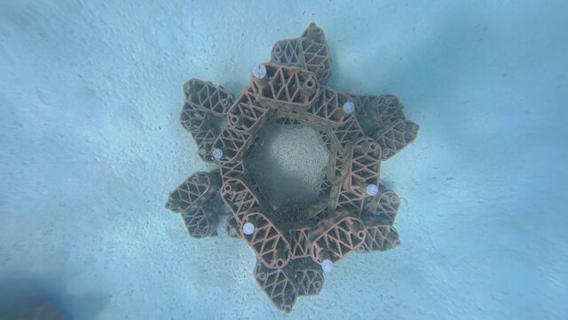 Together, 13 individual flower formations create Theyra Maa, a large-scale underwater installation that aims to provide new habitat for marine life and future coral growth.jpg