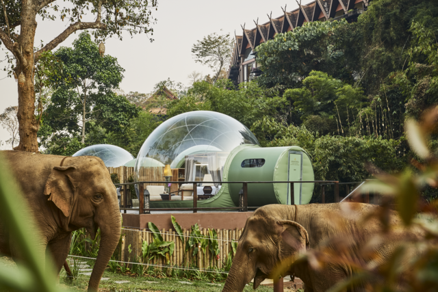 Anantara Golden Triangle Elephant Camp & Resort.png