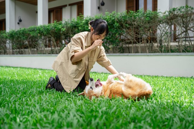 Avani+ Luang Prabang_Pet Friendly.jpg