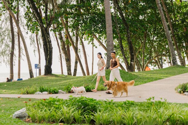 Avani+ Khao Lak Resort_Pet Friendly.jpg