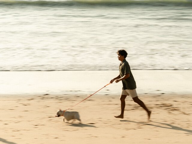 Avani+ Khao Lak Resort_Pet Friendly_Beach (2).jpg