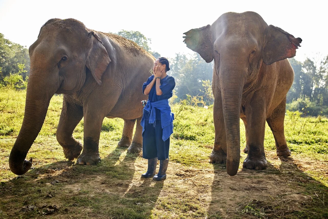 Tracee Ellis Ross x Anantara Golden Triangle - 1.jpg
