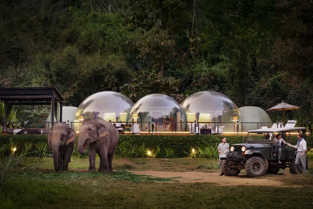 Anantara_Golden_Triangle_Elephant_Camp_and_Resort_Jungle_Bubble_Lodge_with_elephants