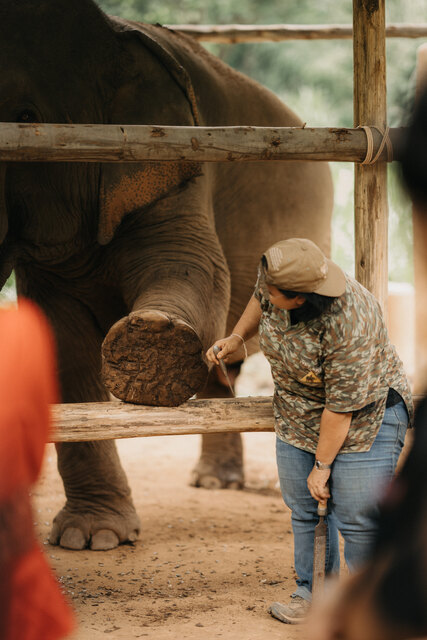 Dr Nissa Mututanont Conducting Target Practice with Elephant at GTAEF.jpg