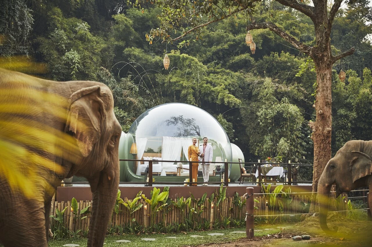 Anantara_Golden_Triangle_Elephant_Camp_&_Resort_Jungle_Bubble.jpg
