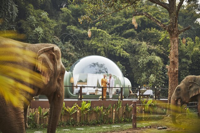 Anantara_Golden_Triangle_Elephant_Camp_&_Resort_Jungle_Bubble.jpg