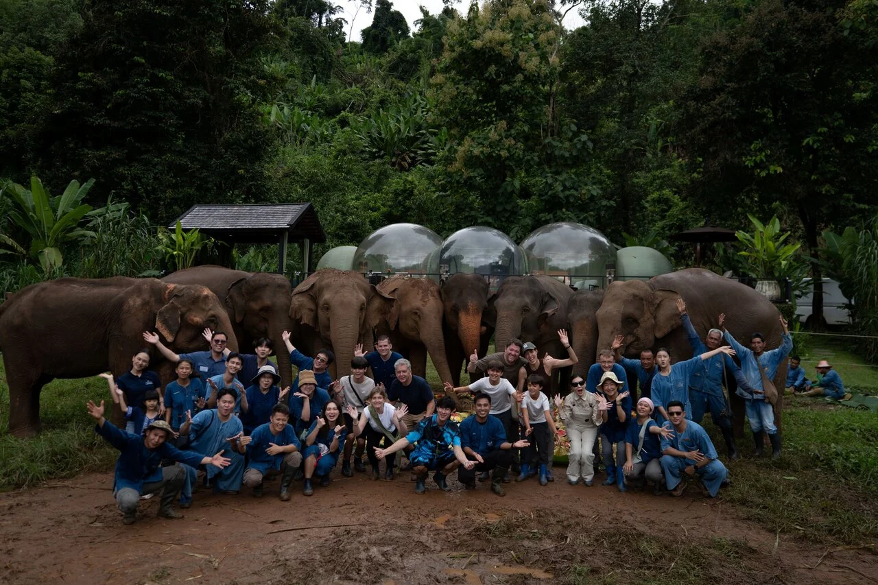 Anantara Golden Triangle Elephant Camp & Resort_World Elephant Day 2026.jpg