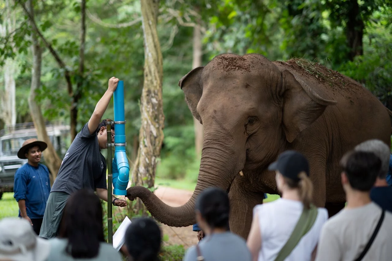 Anantara Golden Triangle Elephant Camp & Resort_World Elephant Day 2026.jpg