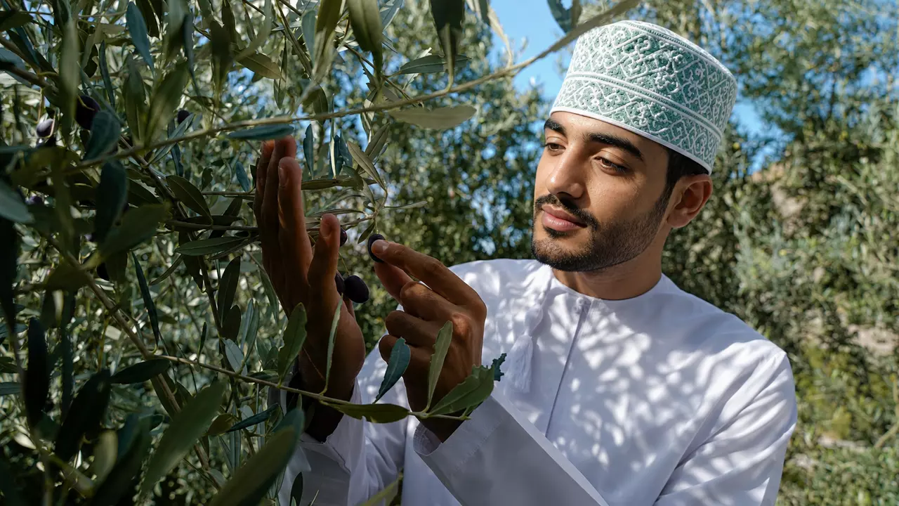 Anantara Al Jabal Al Akhdar Resort_Olive Harvest Festival 2026.png