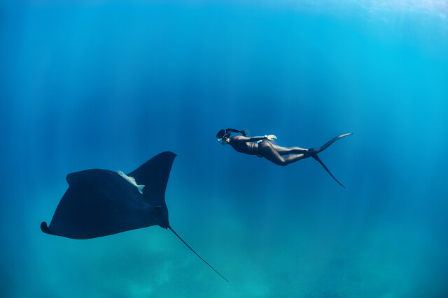 Hanli Prinsloo - Manta Ray - Photography by Peter Marshall.jpg