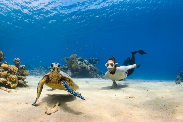 NH Collection Maldives Reethi_House Reef.jpg