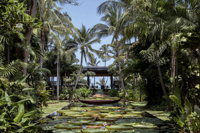 Anantara_Bophut_Koh_Samui_Resort_ Lily_Ponds.jpg