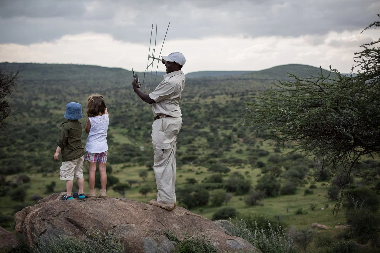 Loisaba Lion Tracking.jpg