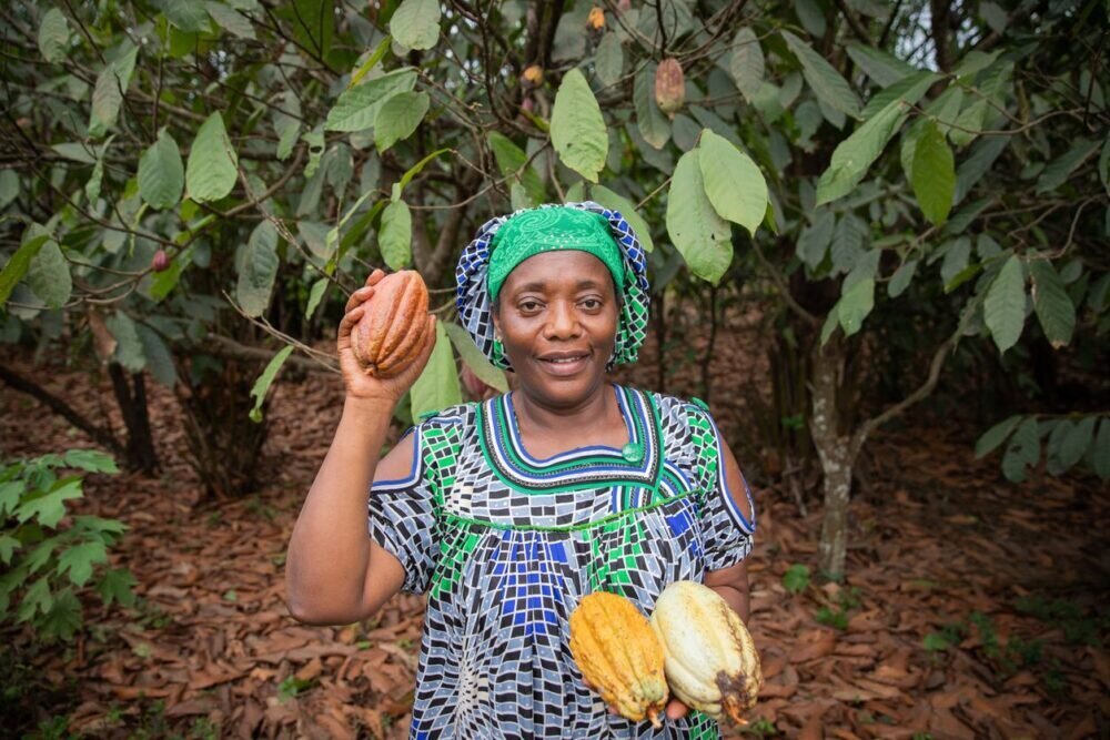 Bringing regenerative agriculture to Africa: Kenyan farmers are enthusiastic but need better pack...