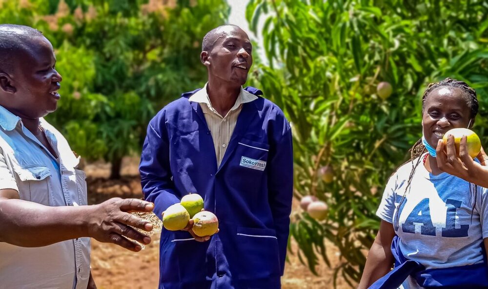 How SokoFresh Impacts Smallholder Farmers in Kenya