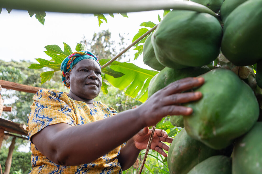 Enviu Agrifood: Building a Climate-Resilient Food Future Through Farmer-Led Ventures - Food Plane...