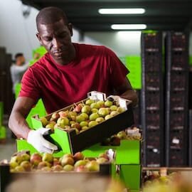 Rethinking What it Means to Start a Business: Why Systemic Venture Building Matters for Africa's ...