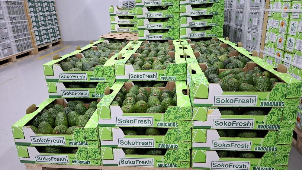 East Africa: Bayer Foundation and UNCDF back Omia and SokoFresh