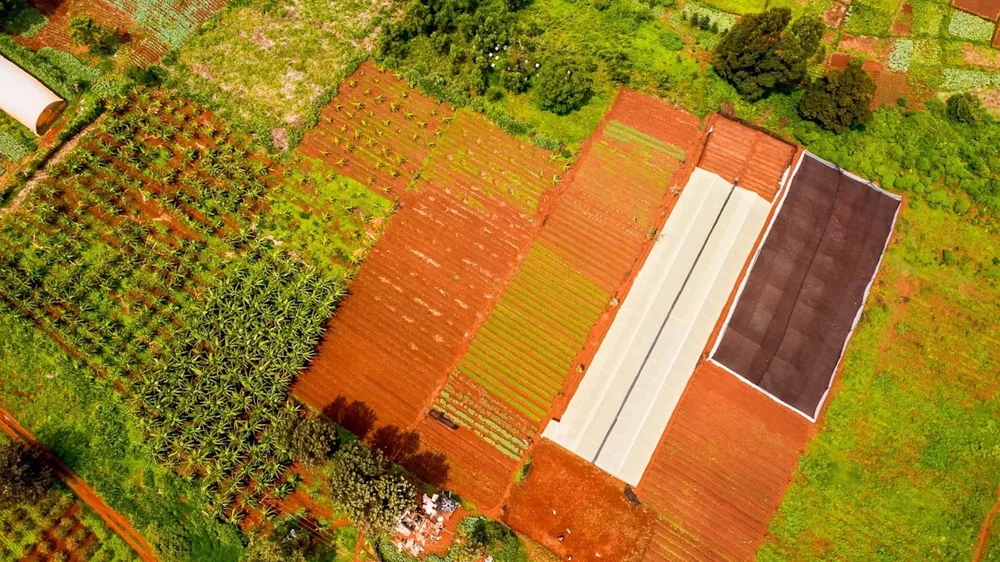 Farmers come together to back new method that could transform entire agriculture industry: 'Break...