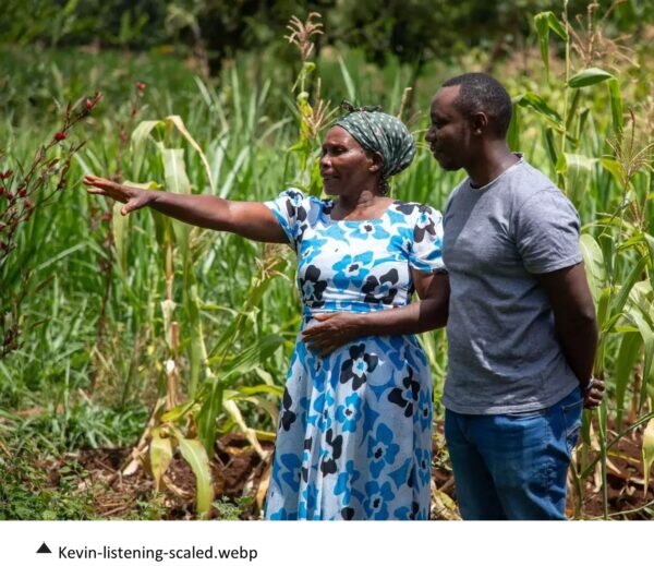 Five Years Regenerating the Land: Lessons from a Farmer in Kirinyaga, Kenya - Farmers Review Africa