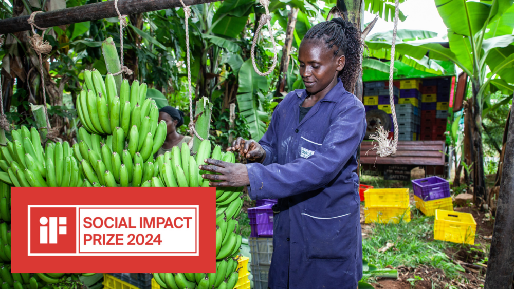 Sokofresh SokoFresh Awarded 2024 iF Social Impact Prize for Foodloss Reduction ...