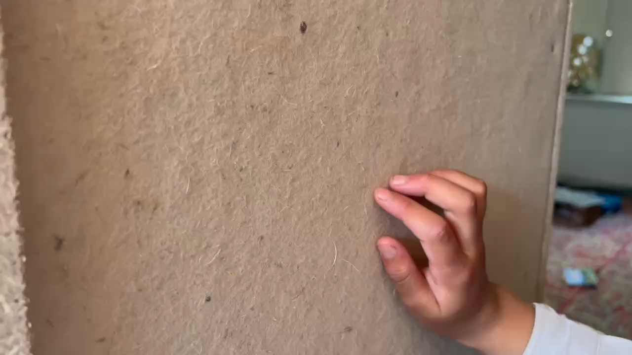 IMG-01.png