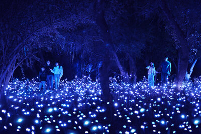 589459-MomentFactory_LightCycles_Santiago_CrystalGrove_1-768acd-original-1746636161