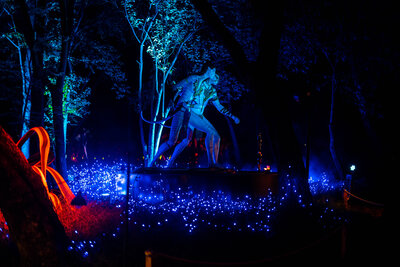 Light-Cycles-Disney-Avatar-Fever-32