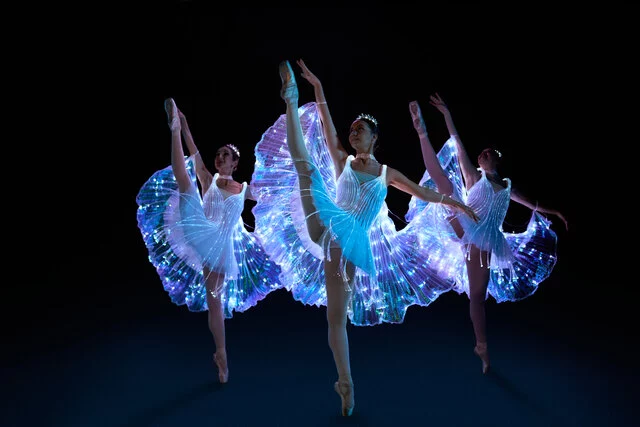 Ballet of Lights_Sleeping Beauty 5