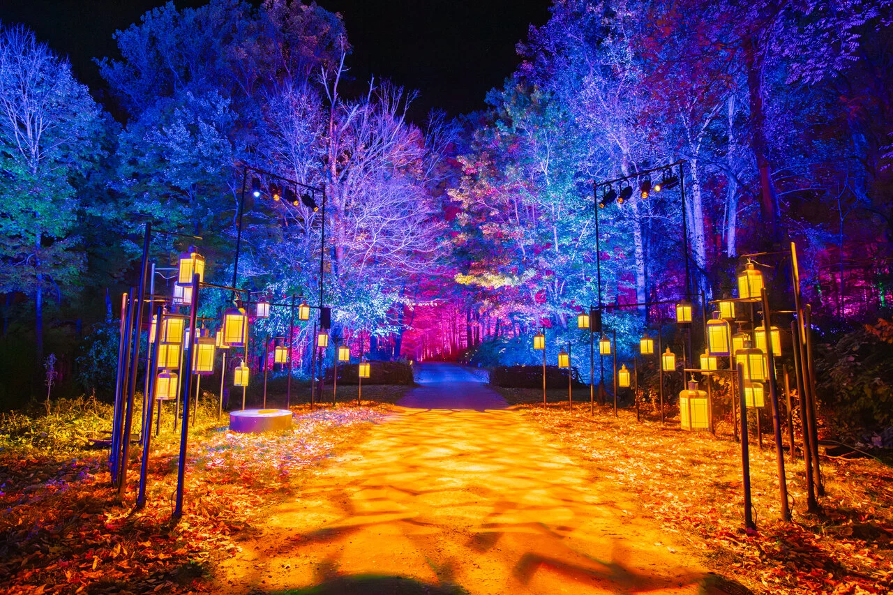 Harry Potter A Forbidden Forest Experience.jpg
