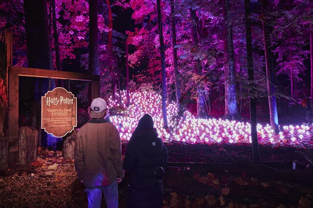 Harry Potter Forest
