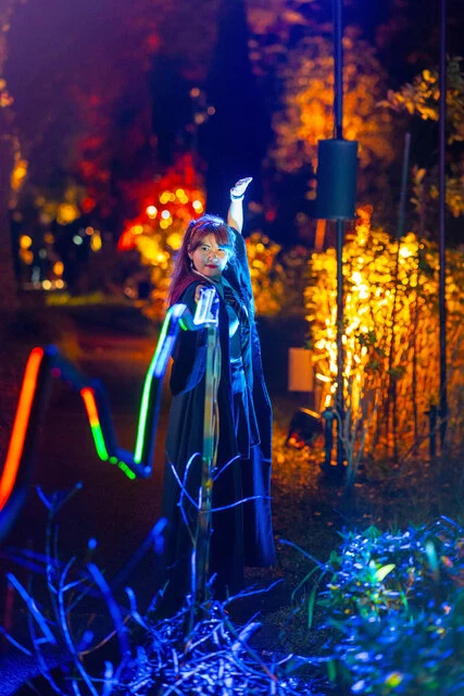 Harry Potter A Forbidden Forest Experience