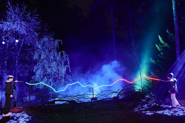 Harry Potter A Forbidden Forest Experience 