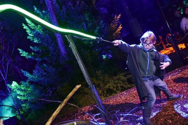 Harry Potter A Forbidden Forest Experience